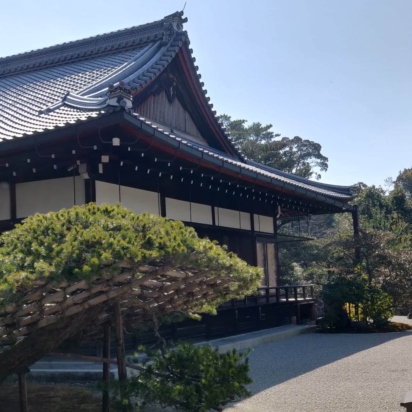 Kyoto - Japan 🇯🇵