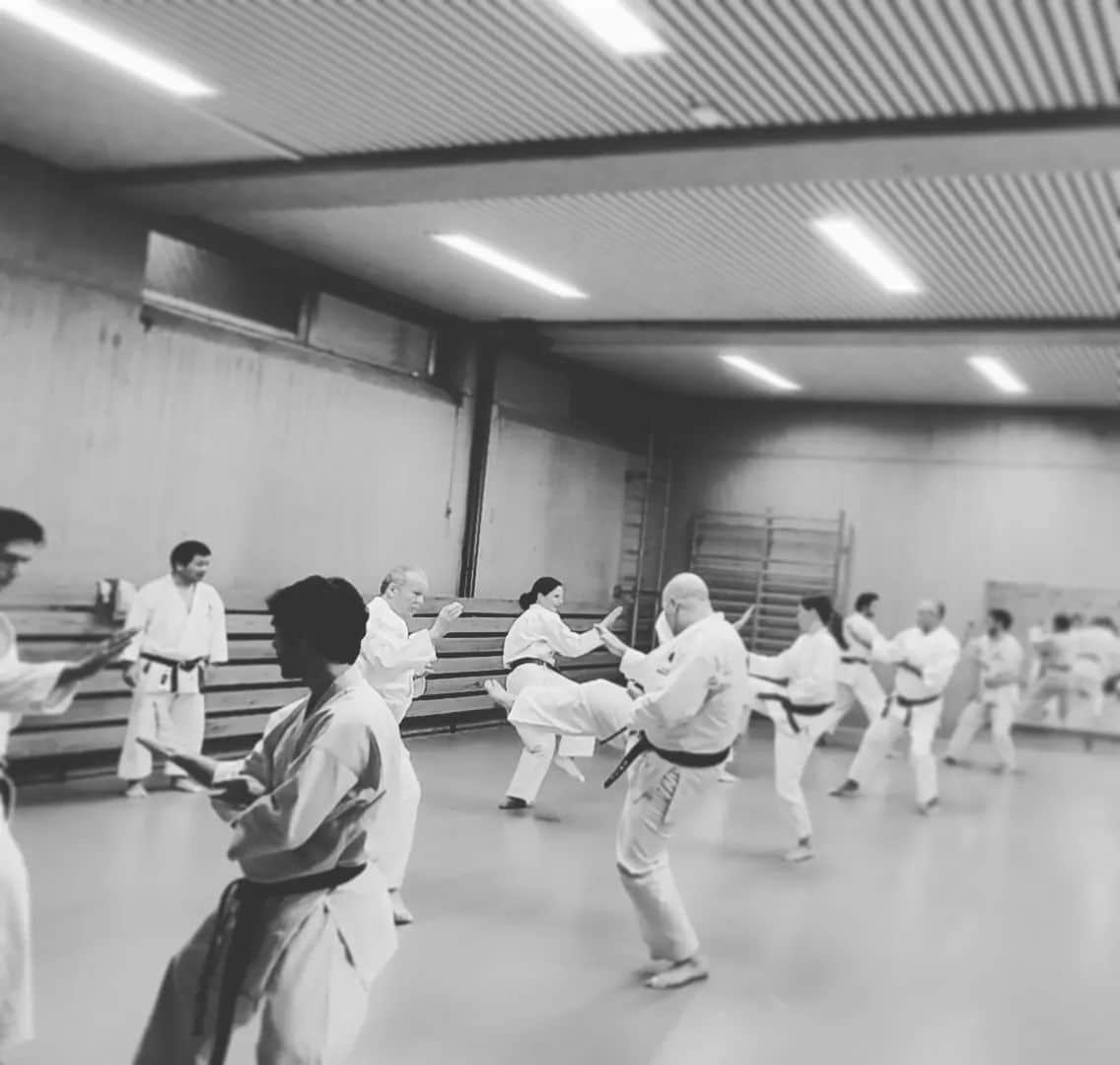 Training im Dojo Yamato Düsseldorf e.V.🥋
Trainer Keigo Shimizu 🇯🇵