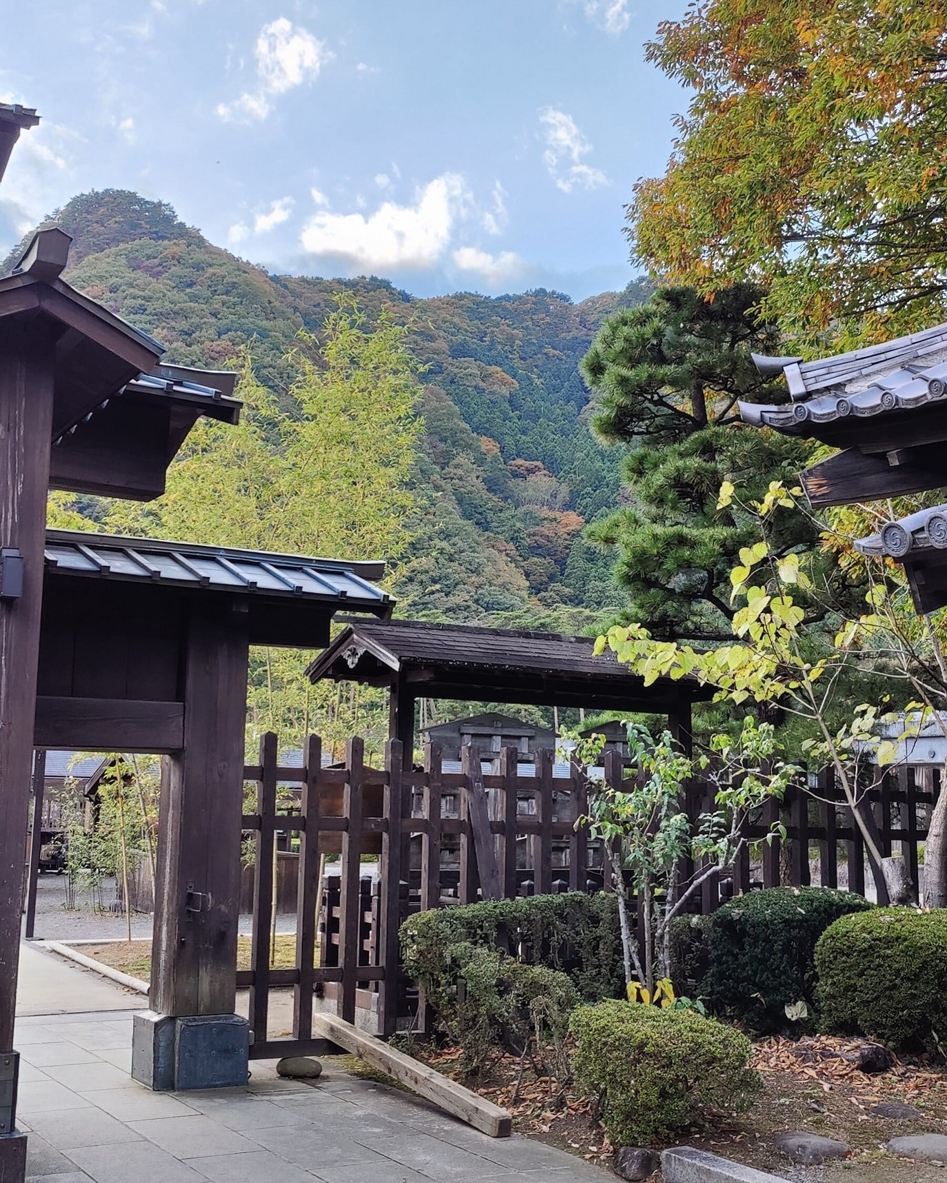 Edo Town - Japan 🇯🇵