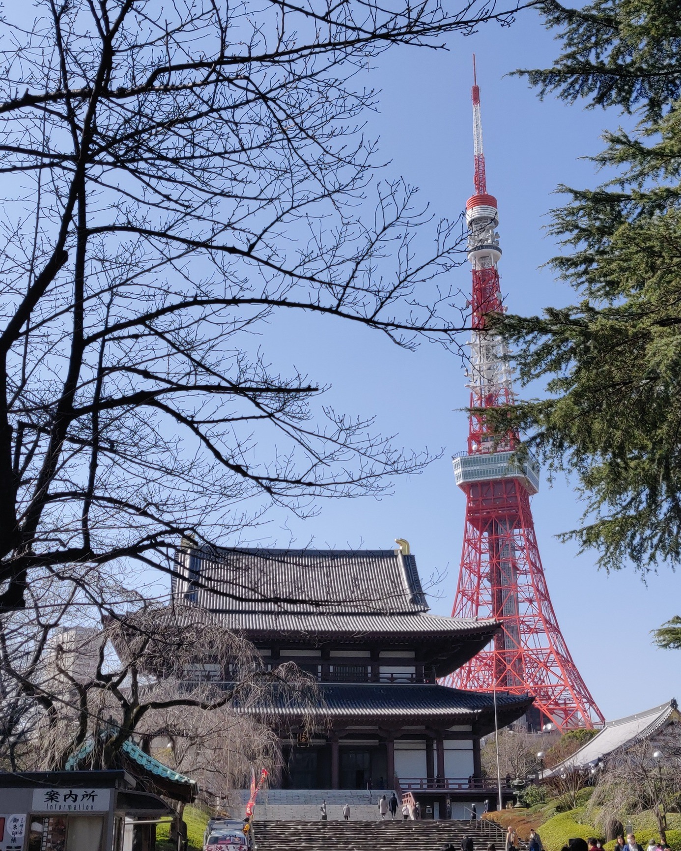 Tokyo - Japan 🇯🇵