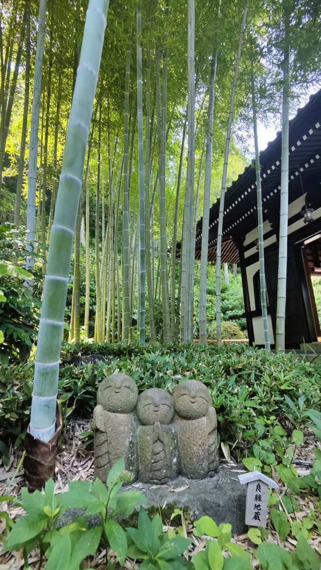 Kamakura 鎌倉市 - Japan 🇯🇵