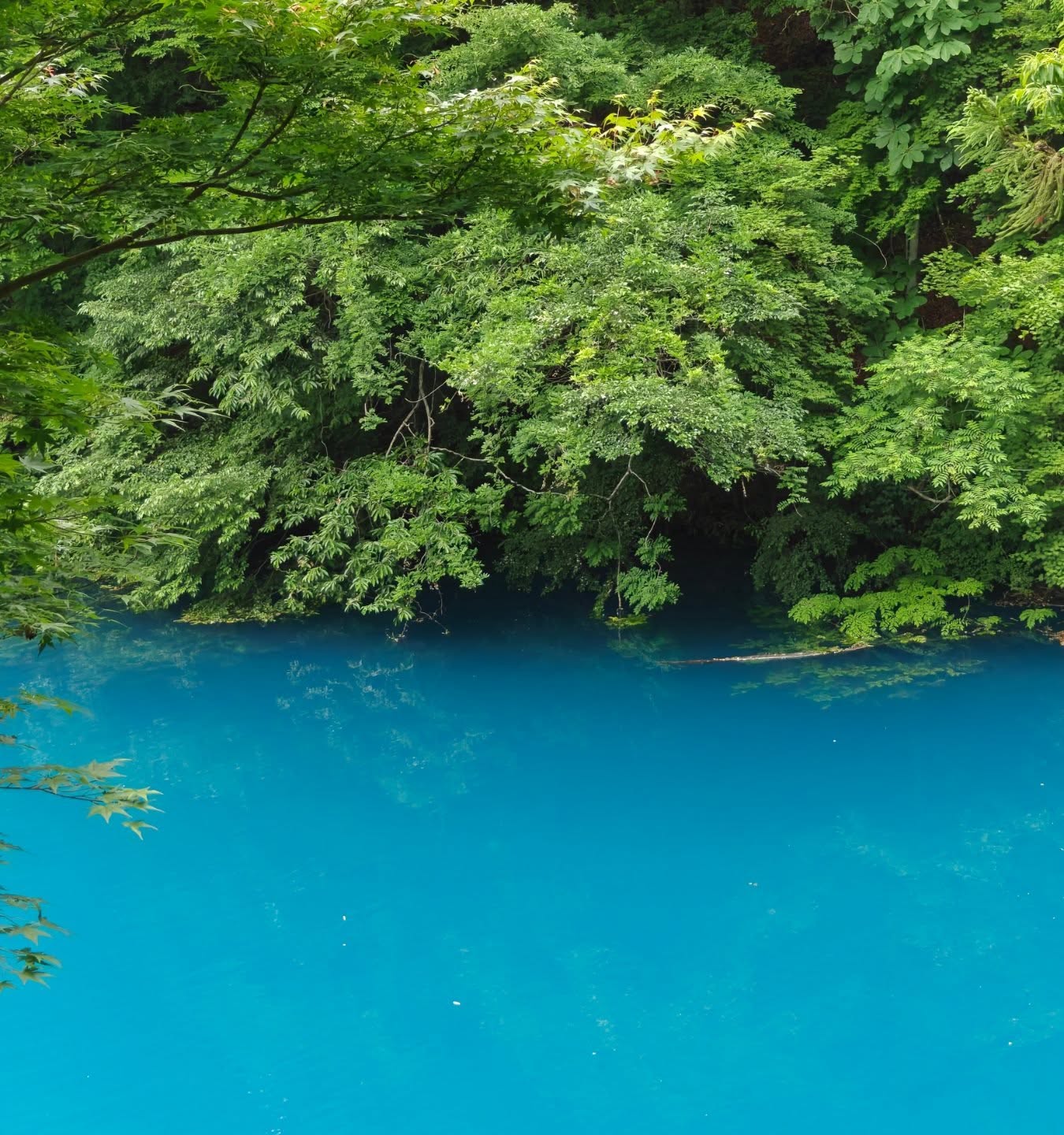 Shima - Gunma - Japan 🇯🇵