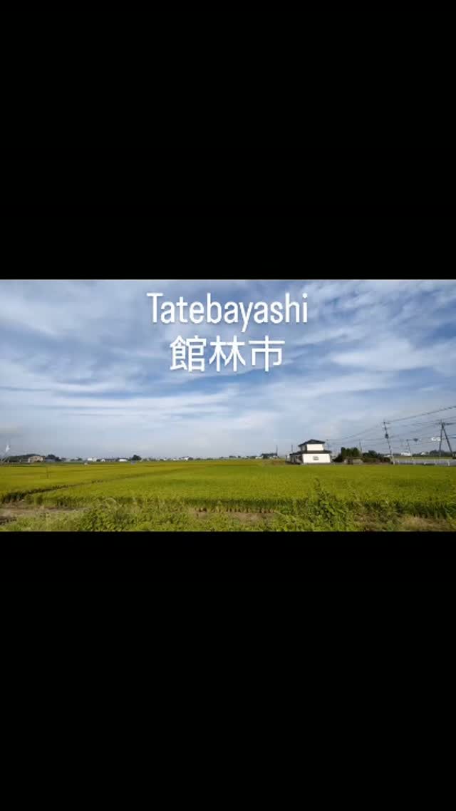 Tatebayashi 館林市 - Japan 🇯🇵