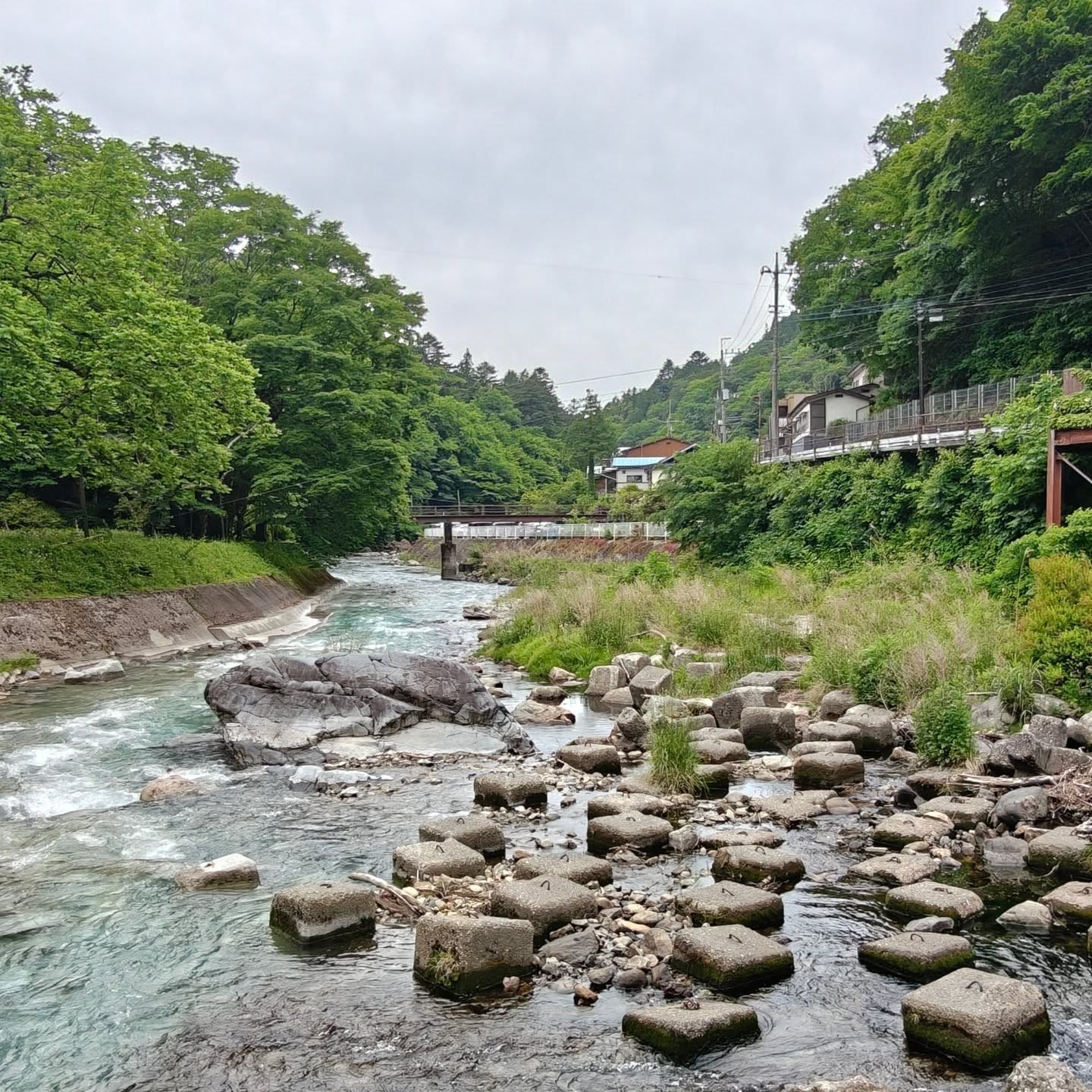 Shima - Japan 🇯🇵