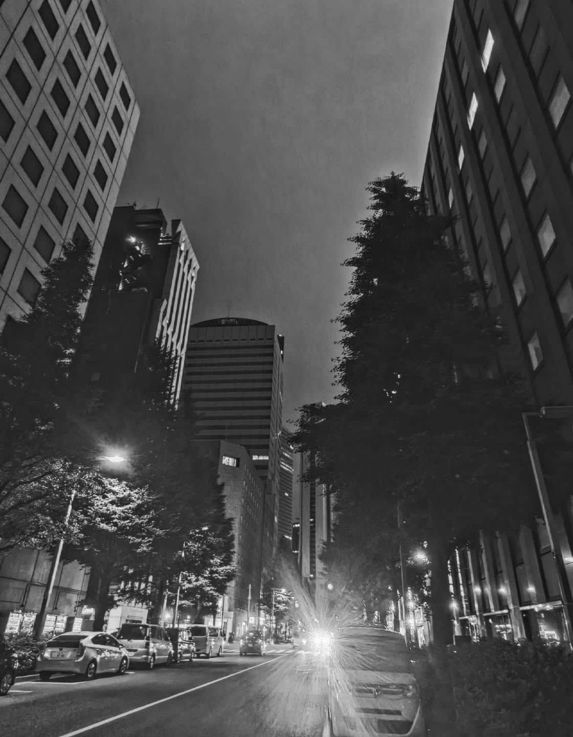 Shibuya - Tokyo - Japan 🇯🇵