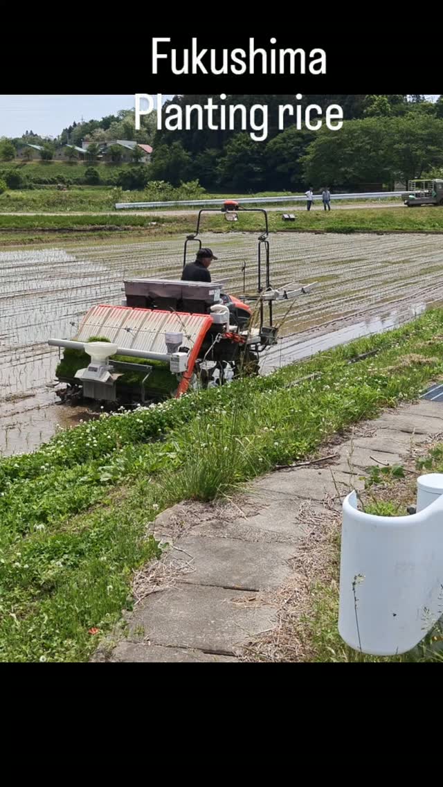 Fukushima Rice Planting

#farming #japan #rice #Fukushima