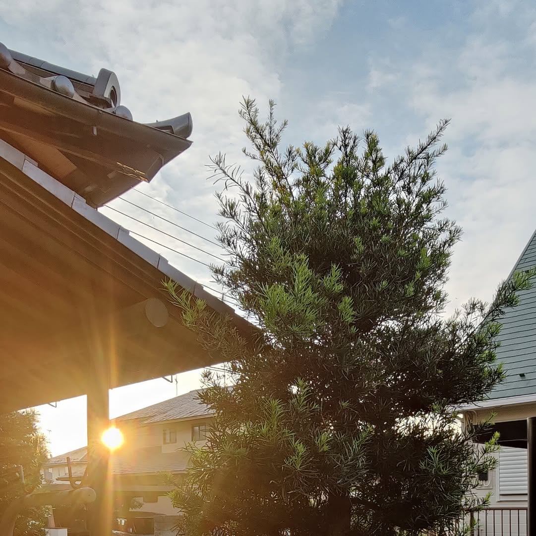 Akeno - Ora - Gunma - Japan 🇯🇵