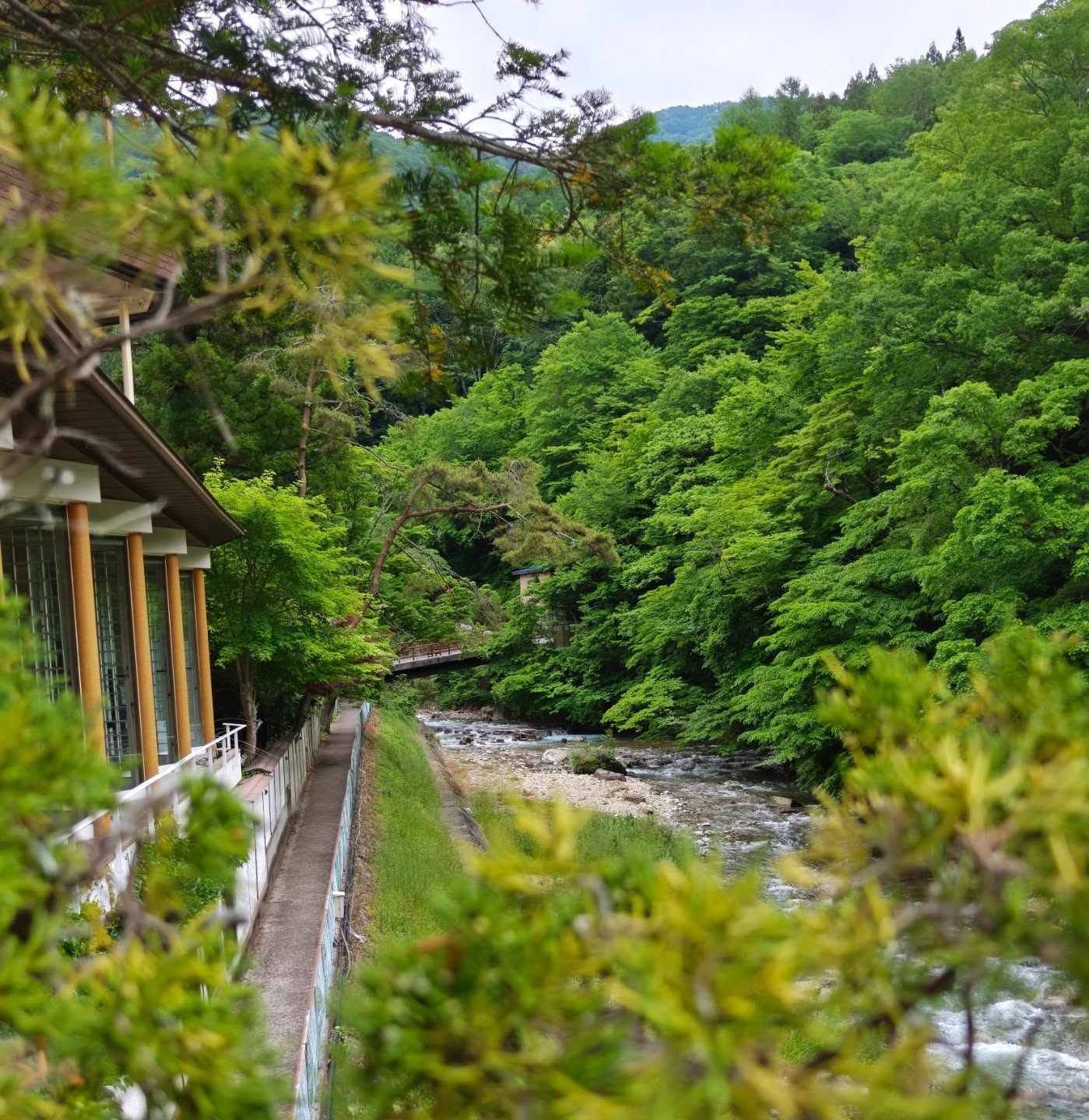 Shima - Japan 🇯🇵