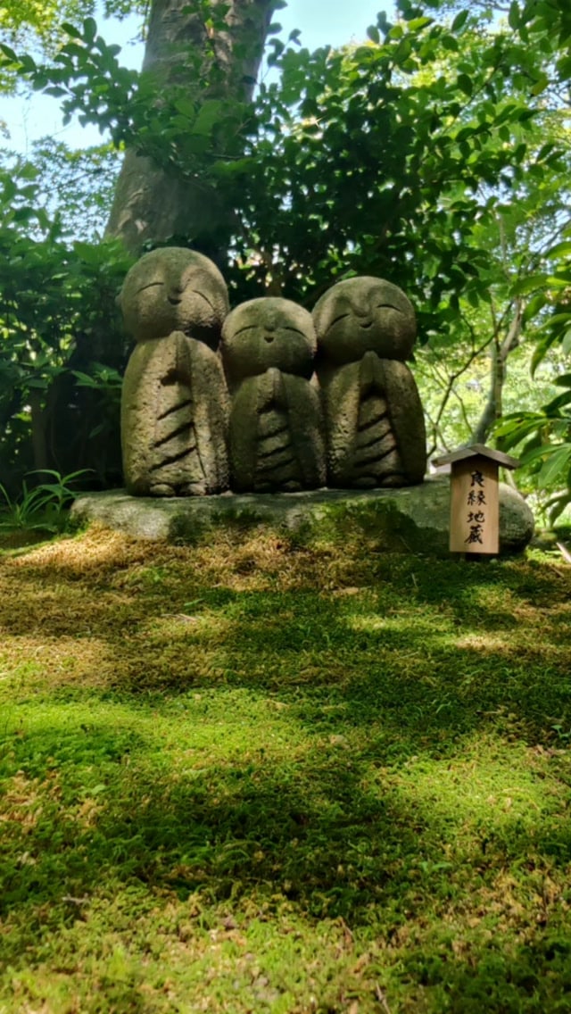Kamakura 鎌倉市 - Japan 🇯🇵
