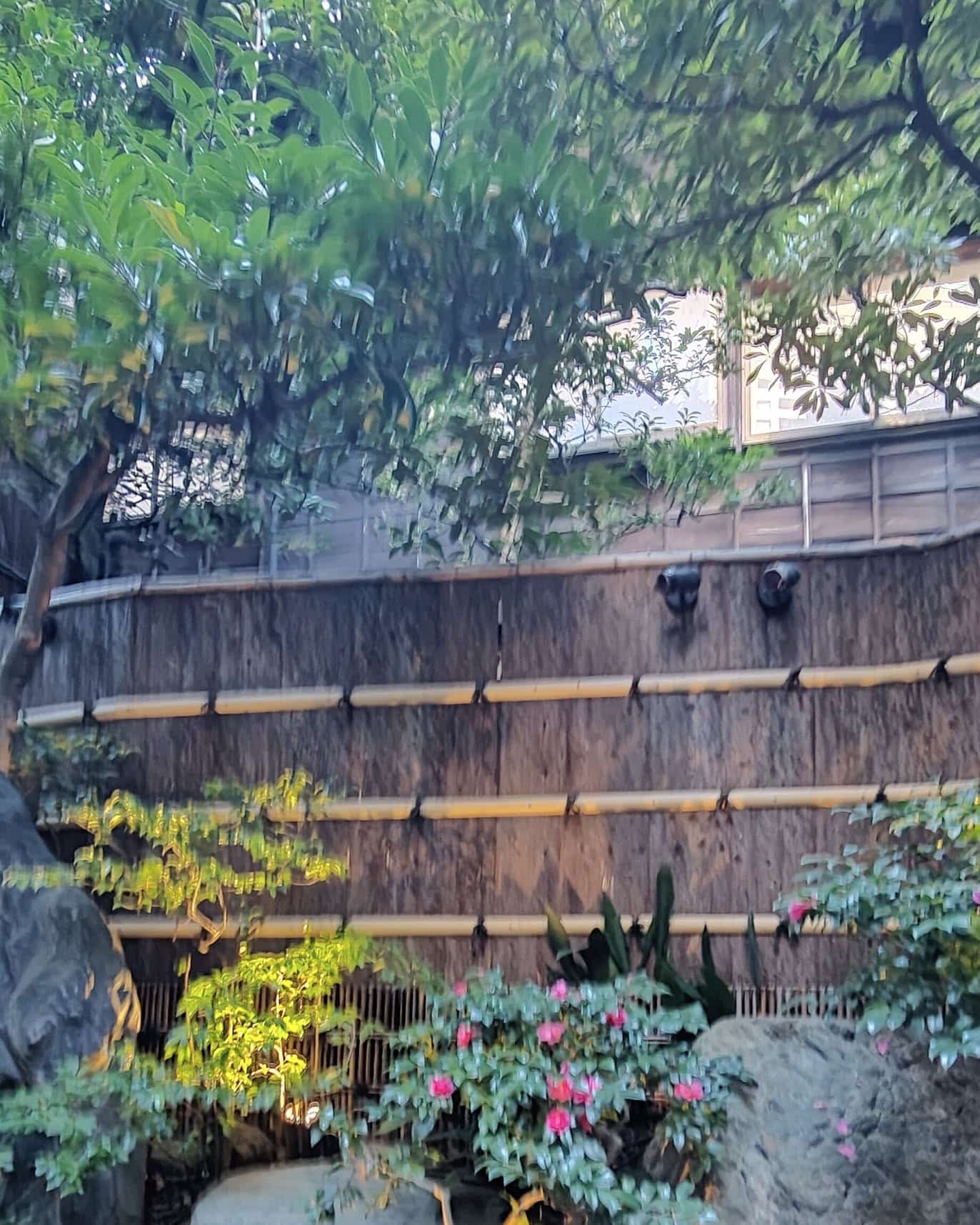 Tokyo - Japan 🇯🇵