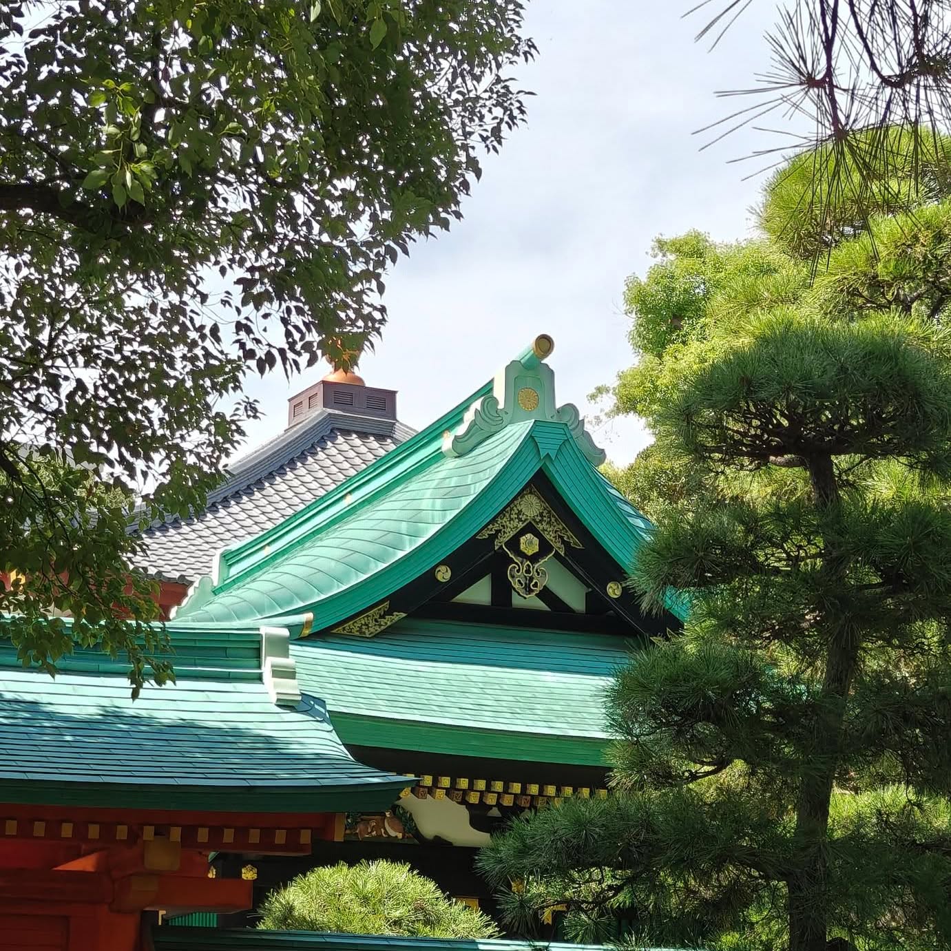 Tokyo - Japan 🇯🇵