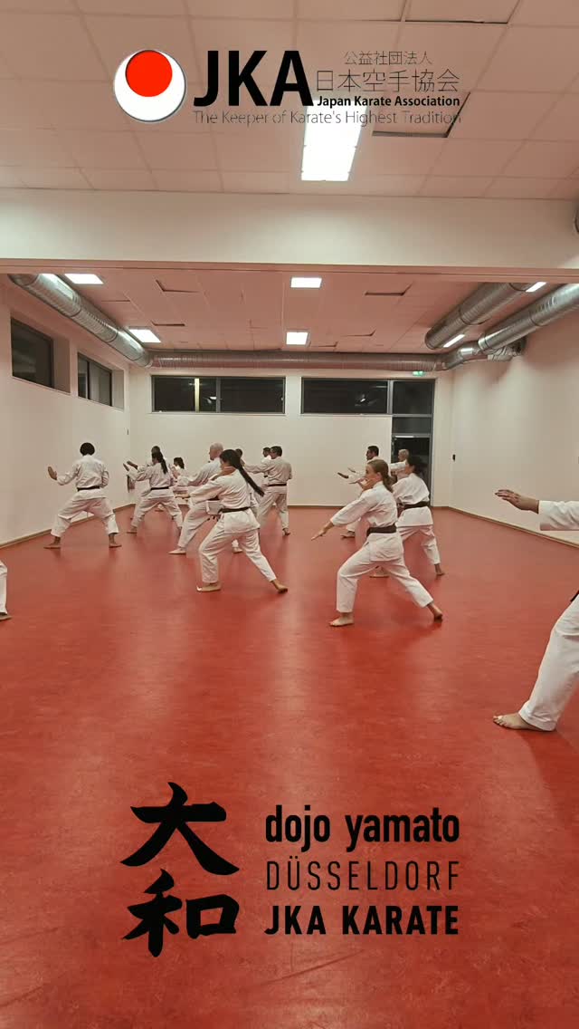 Training im Dojo Yamato Düsseldorf e.V.🥋

#karate #training #fun #jka