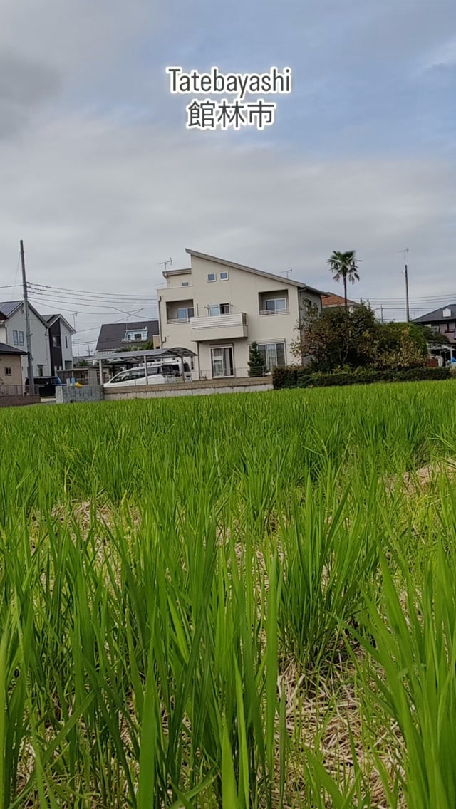 Tatebayashi 館林市

#japan #tatebayashi #gunma