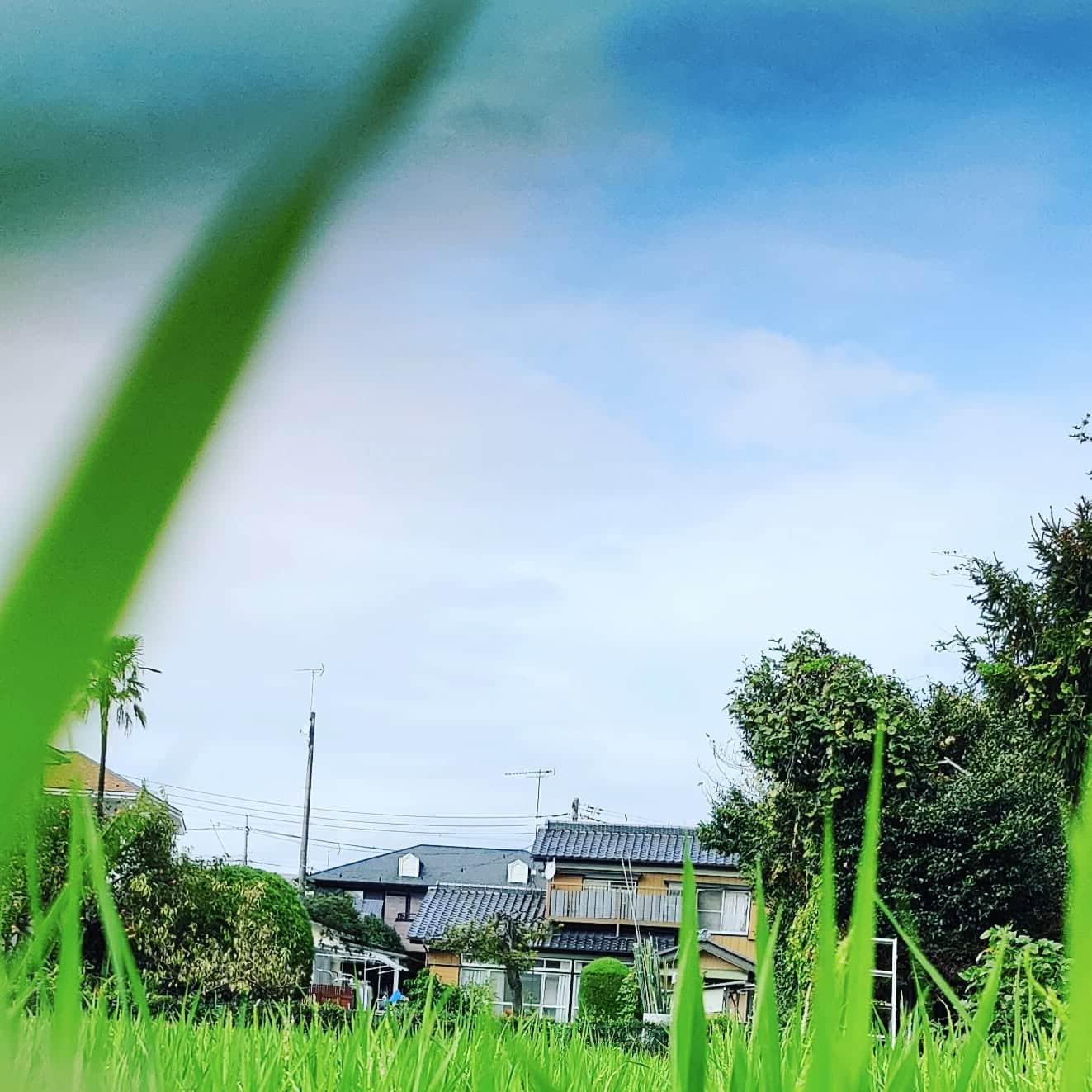 Akeno - Ora - Gunma - Japan 🇯🇵