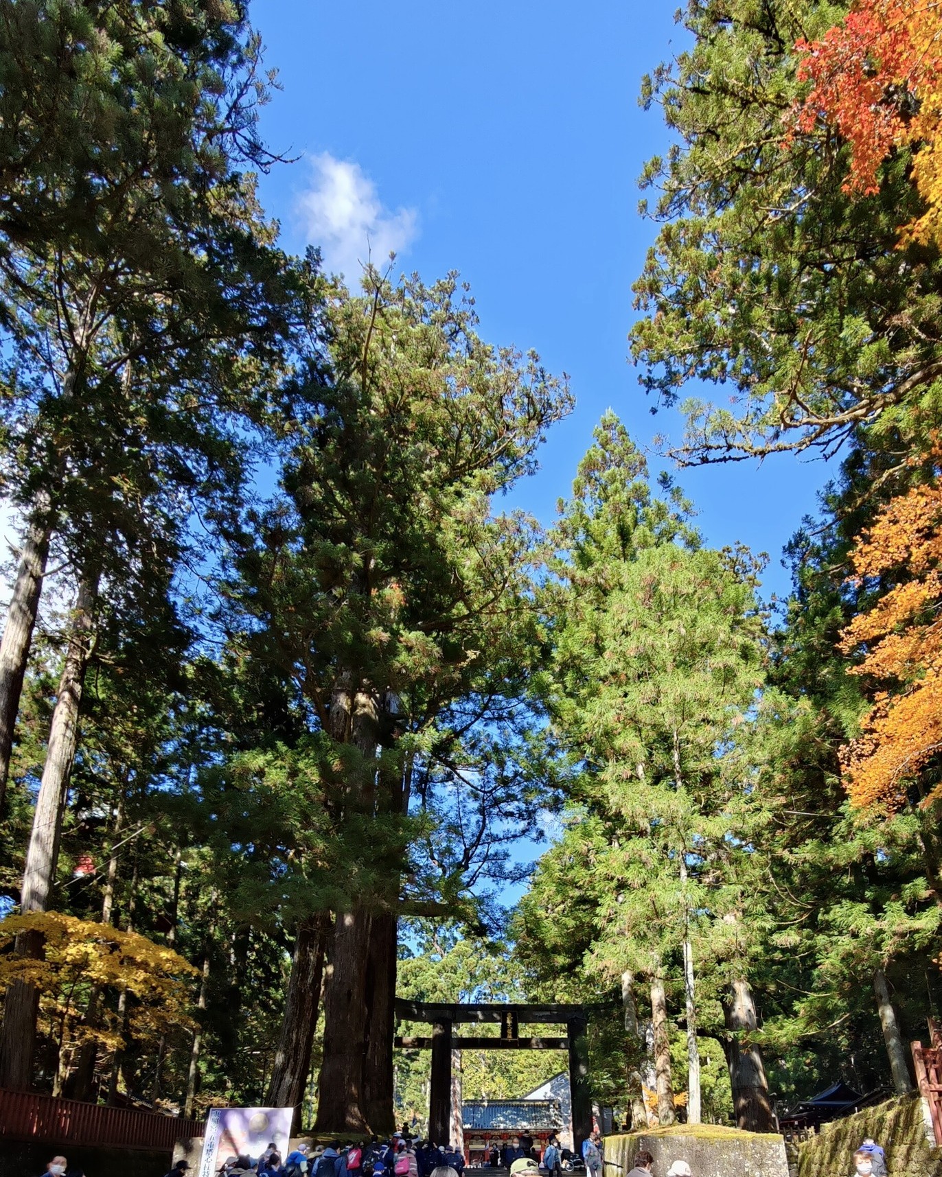 Nikko - Japan 🇯🇵