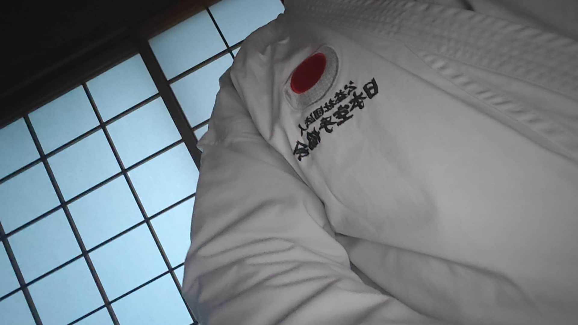 Training - JKA Gyoda - Japan 🇯🇵