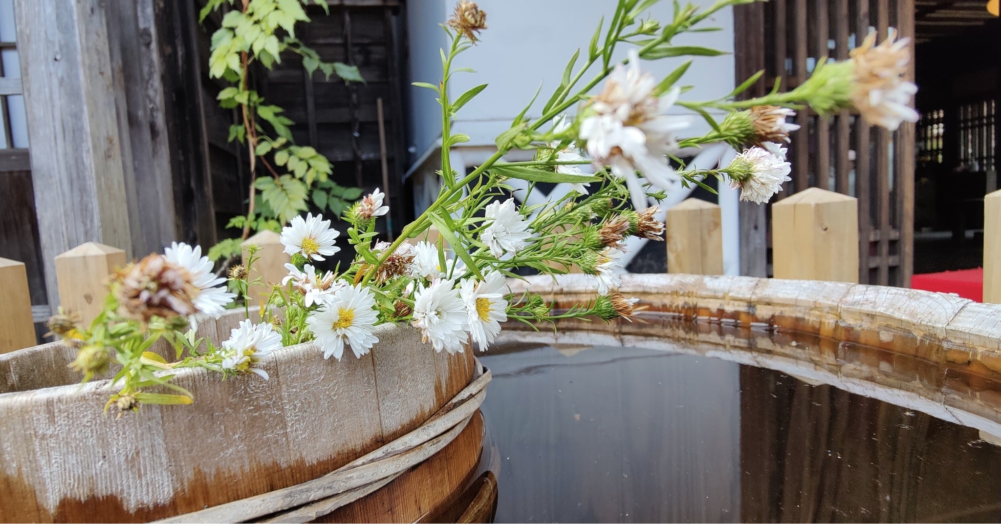 Nikko - Japan 🇯🇵